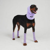 Leg Warmer and Earmuff Protector Set - Purple