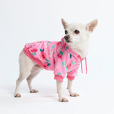 Blossom Dog Hoodie - Pink