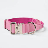 Comfort Control Collar - Pink