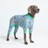 Dog Pajama - Dragons
