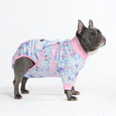 Dog Surgical Suit - Butterfly