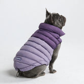 PuffShield Winter Jacket - Purple