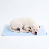 Frostcore™ Cooling Mat - Hearts Blue