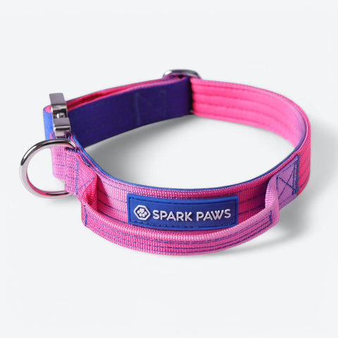 Comfort Control Collar - Snow Cone