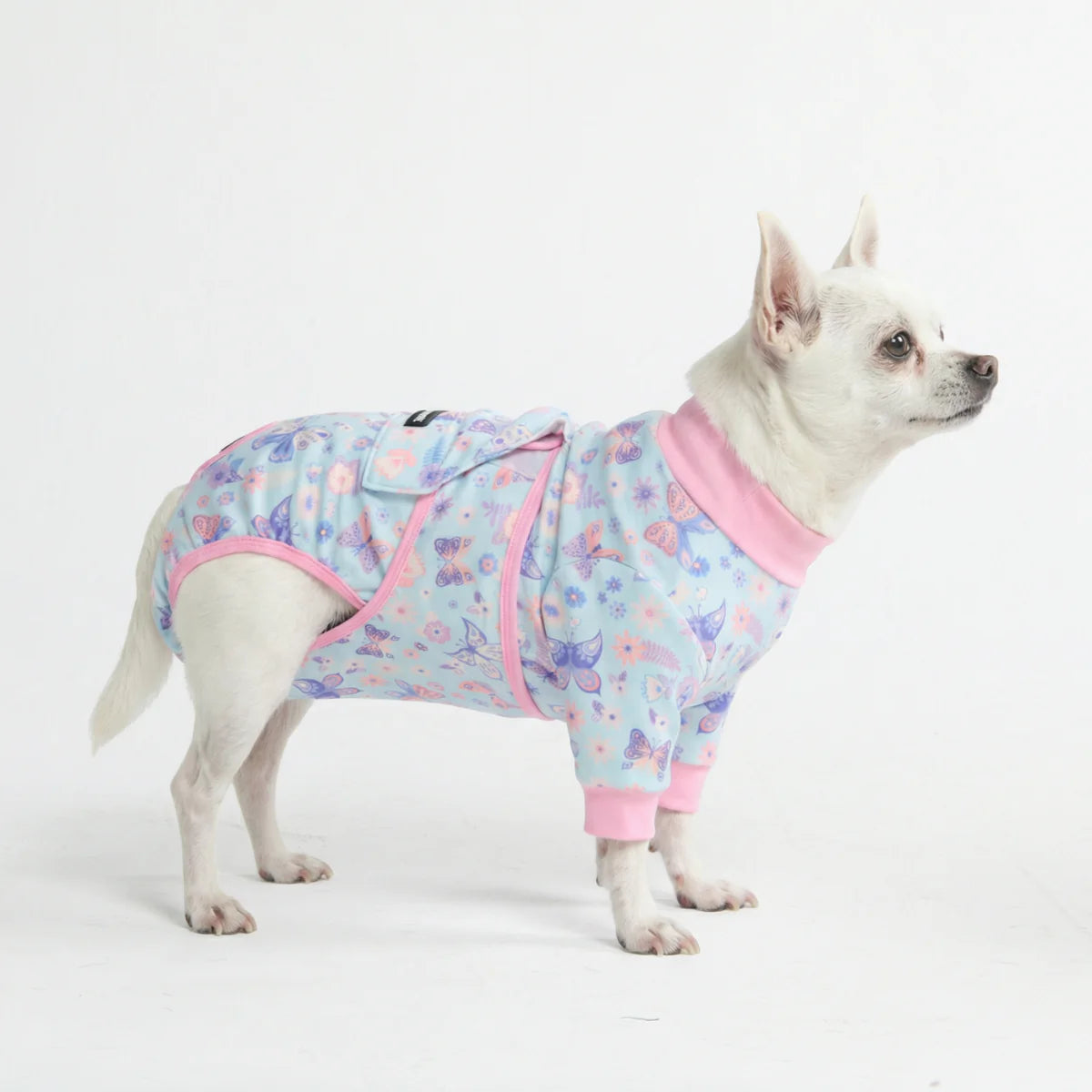 Dog Surgical Suit - Butterfly