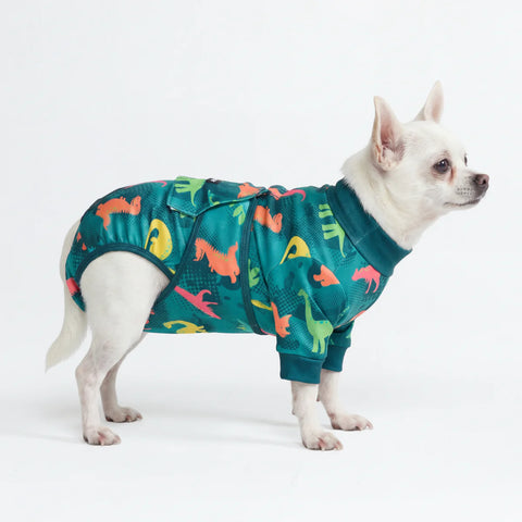 Dog Surgical Suit - Dinosaurs