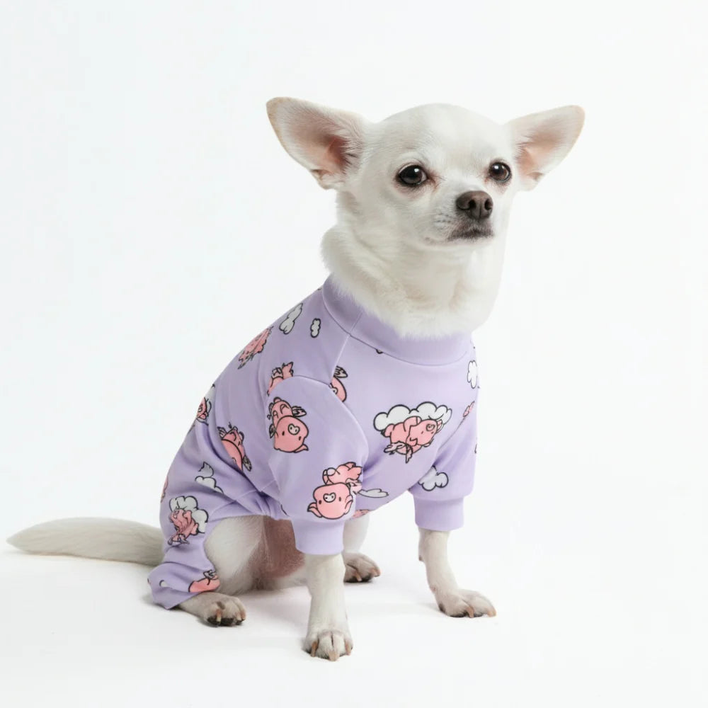 Dog Pajama - When Pigs Fly
