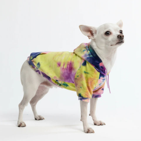 Velvet Dog Hoodie - Berry Lemonade