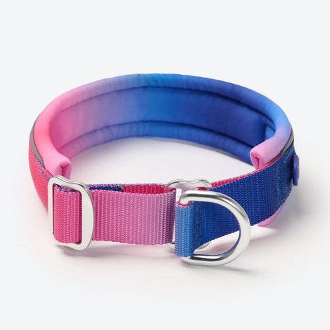 Cushioned Martingale Collar - Snow Cone