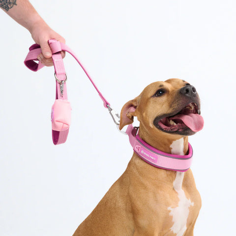 Cushioned Martingale Collars