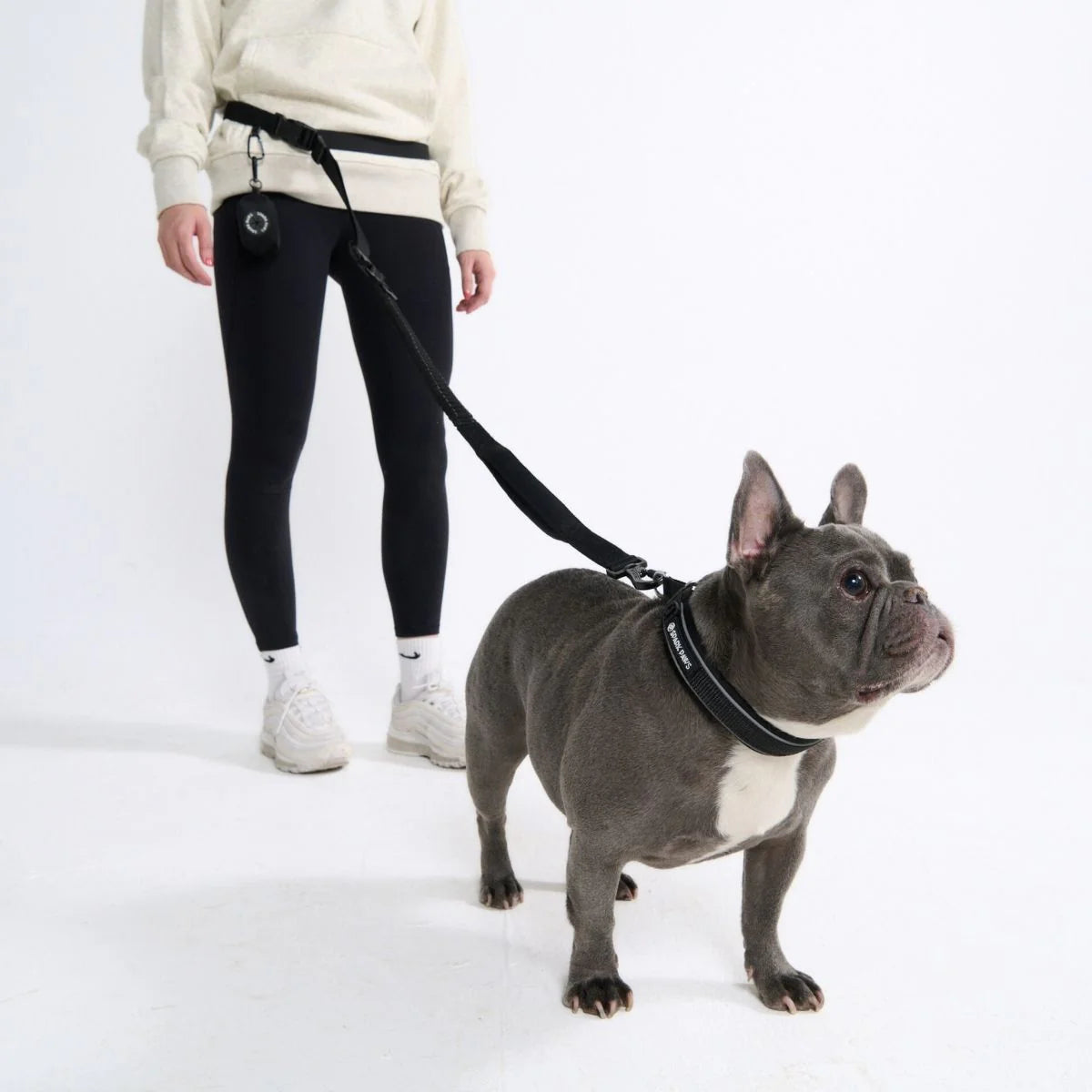 Multipurpose Seatbelt Handsfree Leash & Poop Bag Holder Set - Black