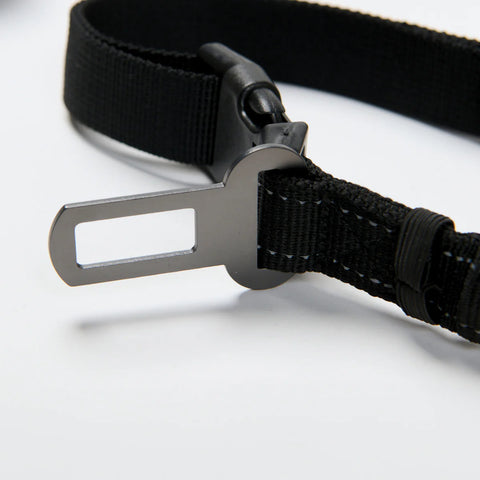 Multipurpose Seatbelt Handsfree Leash & Poop Bag Holder Set