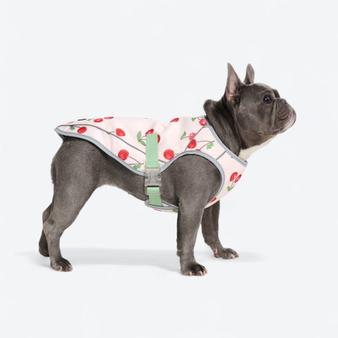 Chilltech™ Dog Cooling Vests