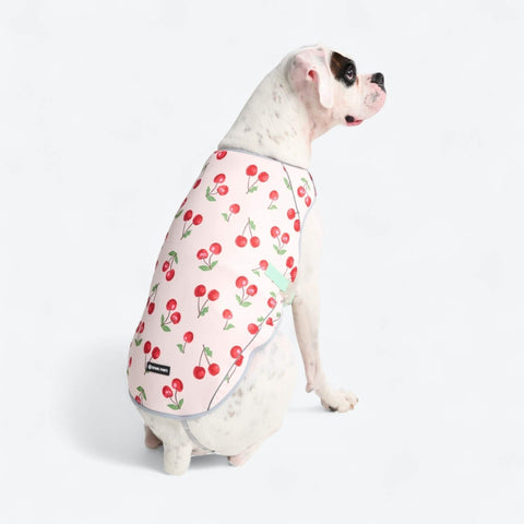 Dog Cooling Vest - Cherries