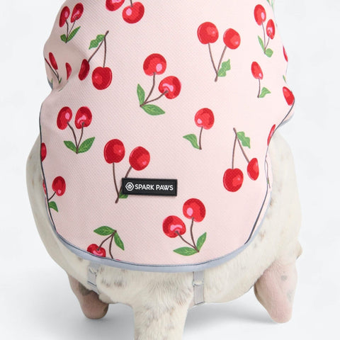 Dog Cooling Vest - Cherries