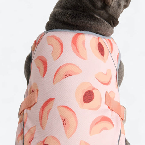 Dog Cooling Vest - Peaches