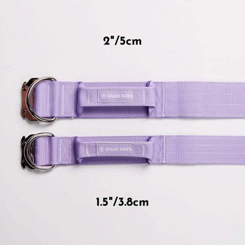 Comfort Control Collar Set - Lilac