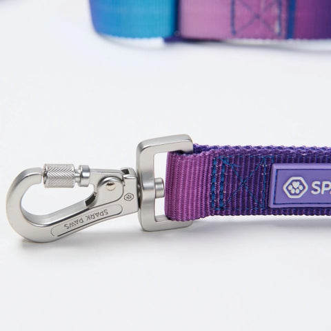 Multipurpose Seatbelt Handsfree Leash & Poop Bag Holder Set - 90s Retro