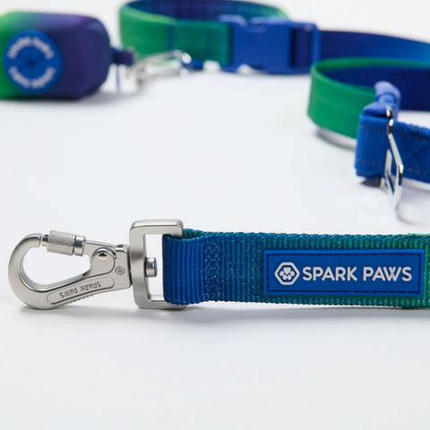 Multipurpose Seatbelt Handsfree Leash & Poop Bag Holder Set - Lime Wave