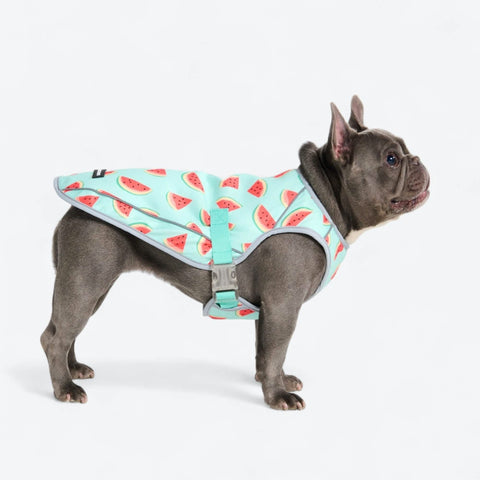 Chilltech™ Dog Cooling Vests