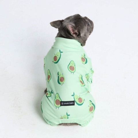 Flower Knit Dog Sweater - Blue Green Yellow