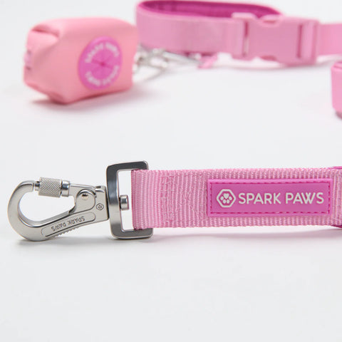 Multipurpose Seatbelt Handsfree Leash & Poop Bag Holder Set