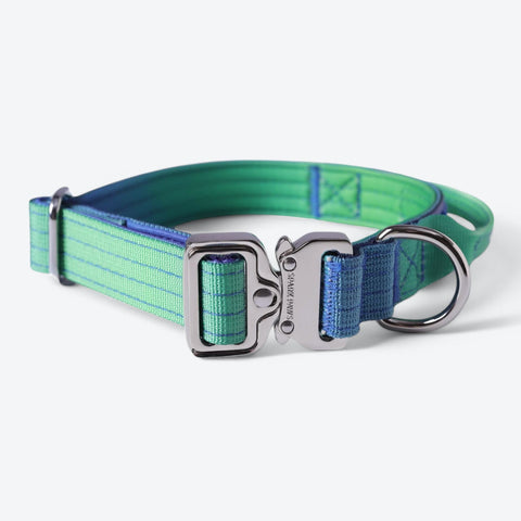 Comfort Control Collar Set - Lime Wave