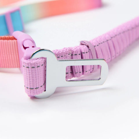 Multipurpose Seatbelt Handsfree Leash & Poop Bag Holder Set - Pastel Icing