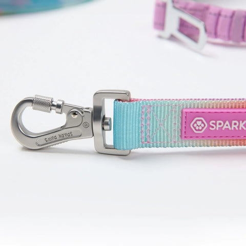Multipurpose Seatbelt Handsfree Leash & Poop Bag Holder Set - Pastel Icing