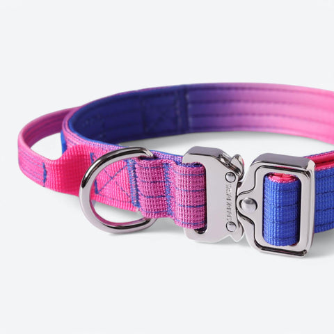 Comfort Control Collar - Snow Cone