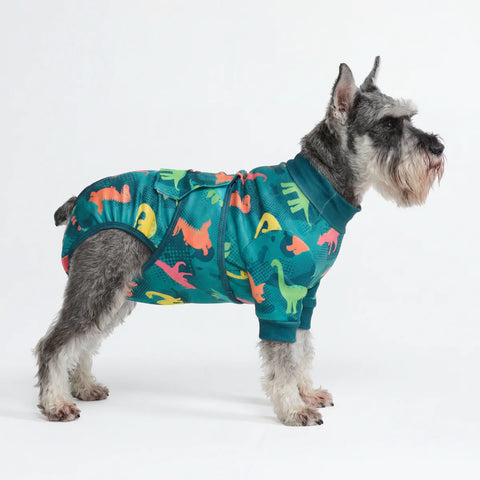 Dog Surgical Suit - Dinosaurs