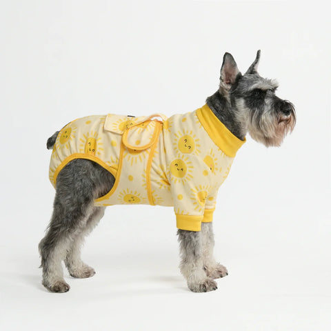 Dog Surgical Suit - Sunshine