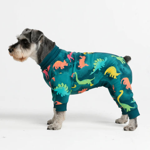 Dog Pajama - Dinosaurs