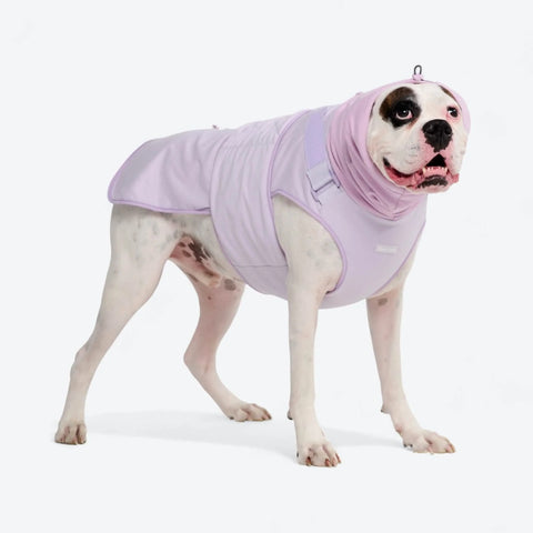 Anxiety Calming Suit - Purple