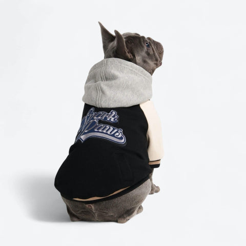 Dog Varsity Jackets