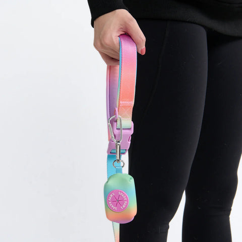 Multipurpose Seatbelt Handsfree Leash & Poop Bag Holder Set