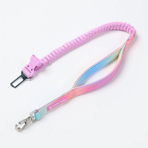 Multipurpose Seatbelt Handsfree Leash & Poop Bag Holder Set