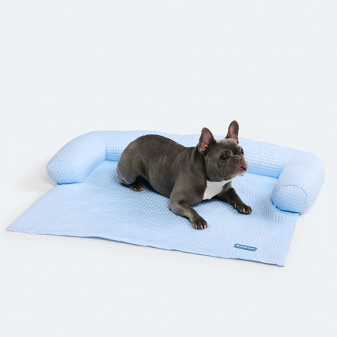 Frostcore™ Cooling Bed - Waffle Blue