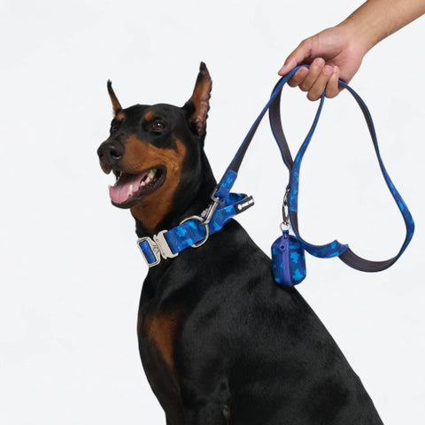 Leash and Poop Bag Holder Set