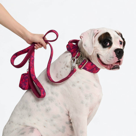 Leash and Poop Bag Holder Set