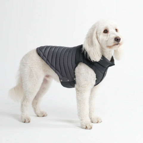 PuffShield Winter Jacket - Black