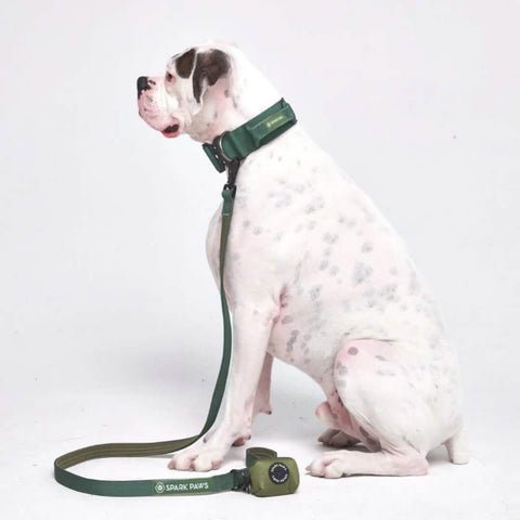 Leash and Poop Bag Holder Set