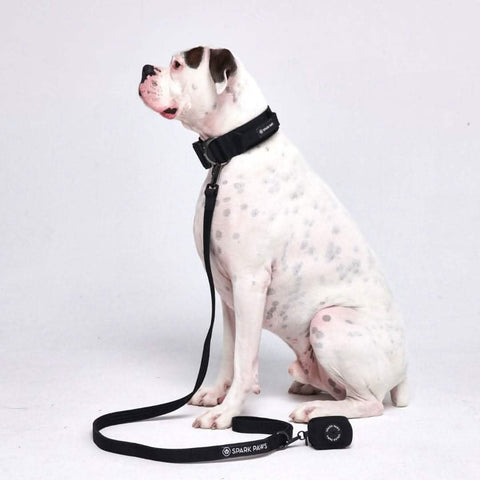 Leash and Poop Bag Holder Set