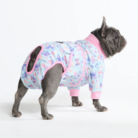 Dog Surgical Suit - Butterfly