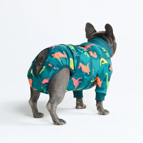 Dog Surgical Suit - Dinosaurs