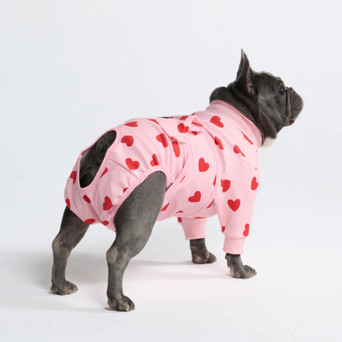 Dog Surgical Suit - Pink Hearts