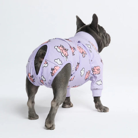 Dog Surgical Suit - When Pigs Fly