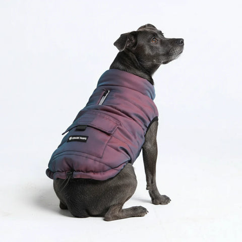 WarmShield Water-Resistant Jacket - Cosmic