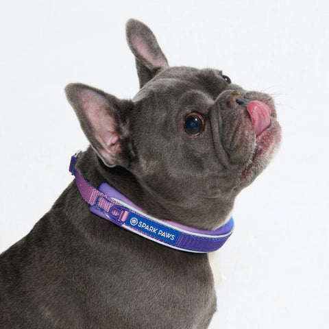 Cushioned Martingale Collars
