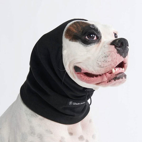 Leg Warmer and Earmuff Protector Set - Black